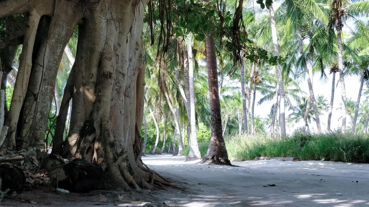 Muraka Inn Thoddoo Exteriér fotografie