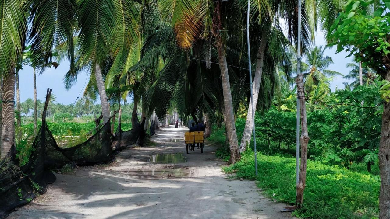 Muraka Inn Thoddoo Exteriér fotografie
