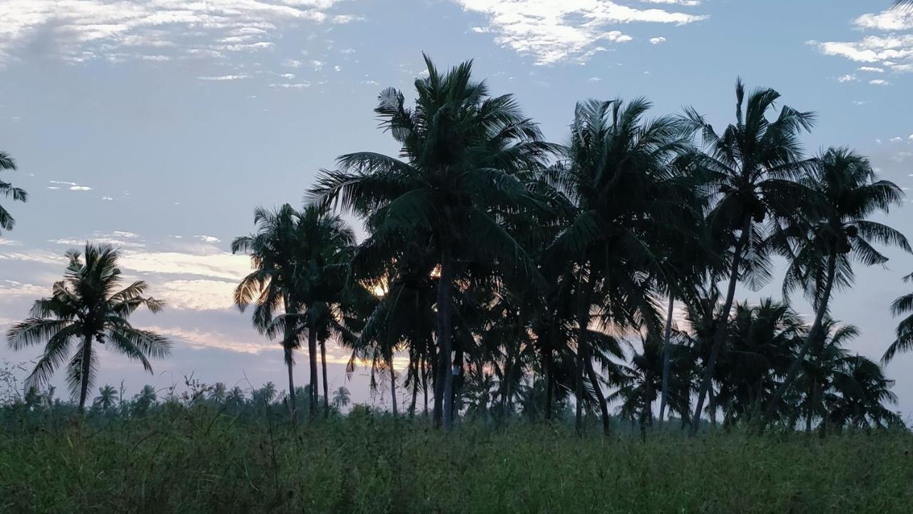 Muraka Inn Thoddoo Exteriér fotografie